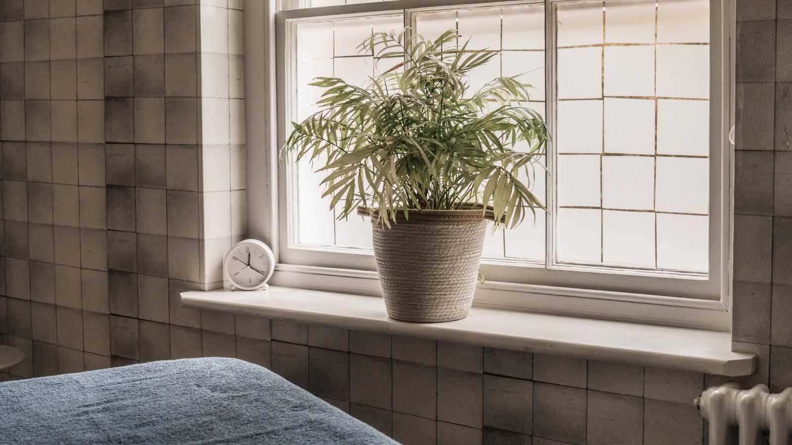 Pregnancy Treatments