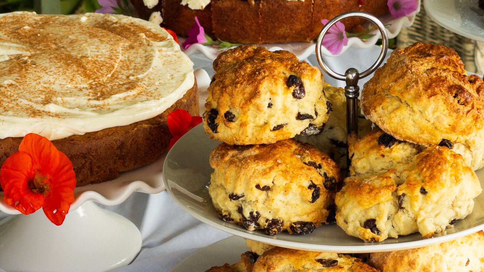 Packages Gallery Photo