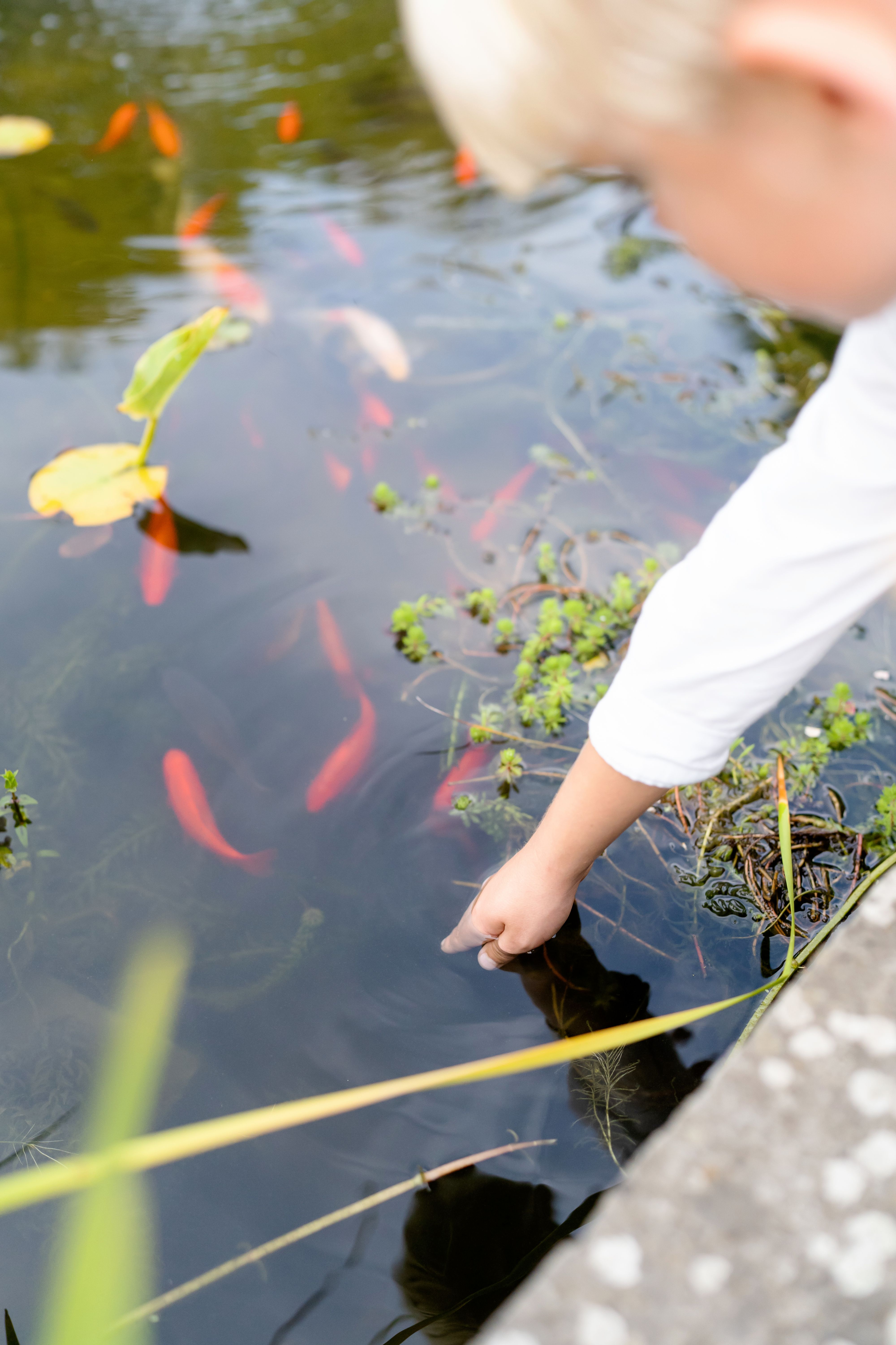 Our Garden Gallery Photo