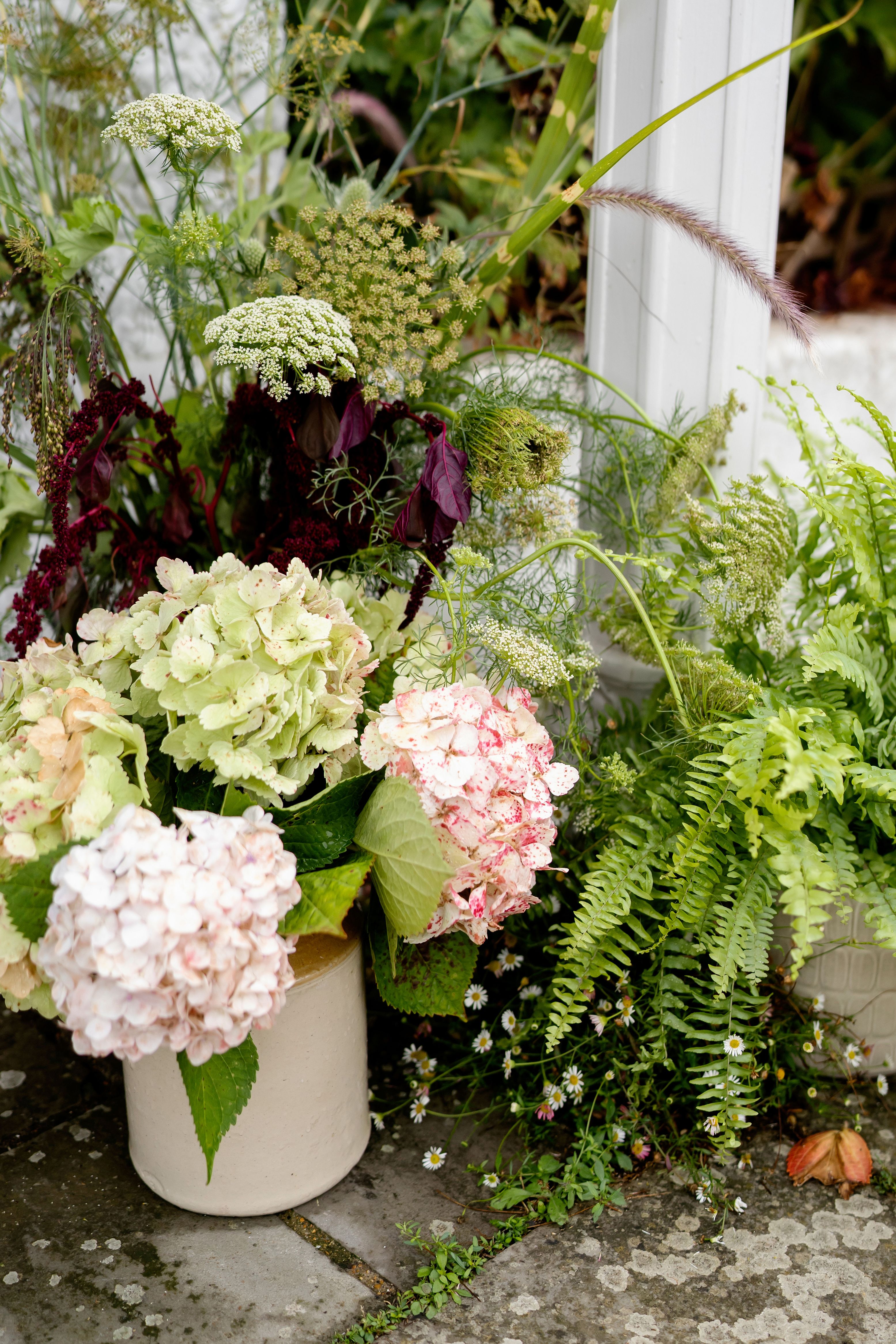 Our Garden Gallery Photo