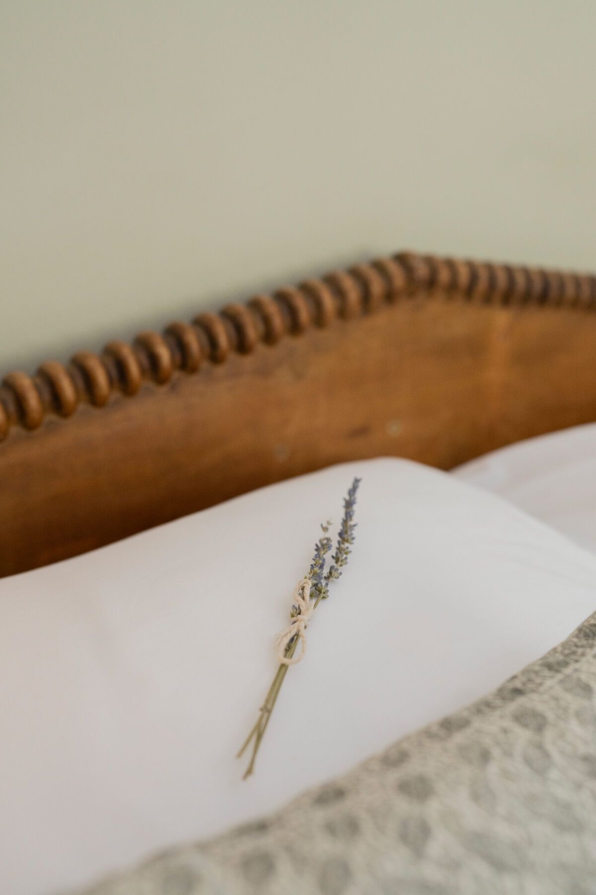 Cobourg Gallery Photo