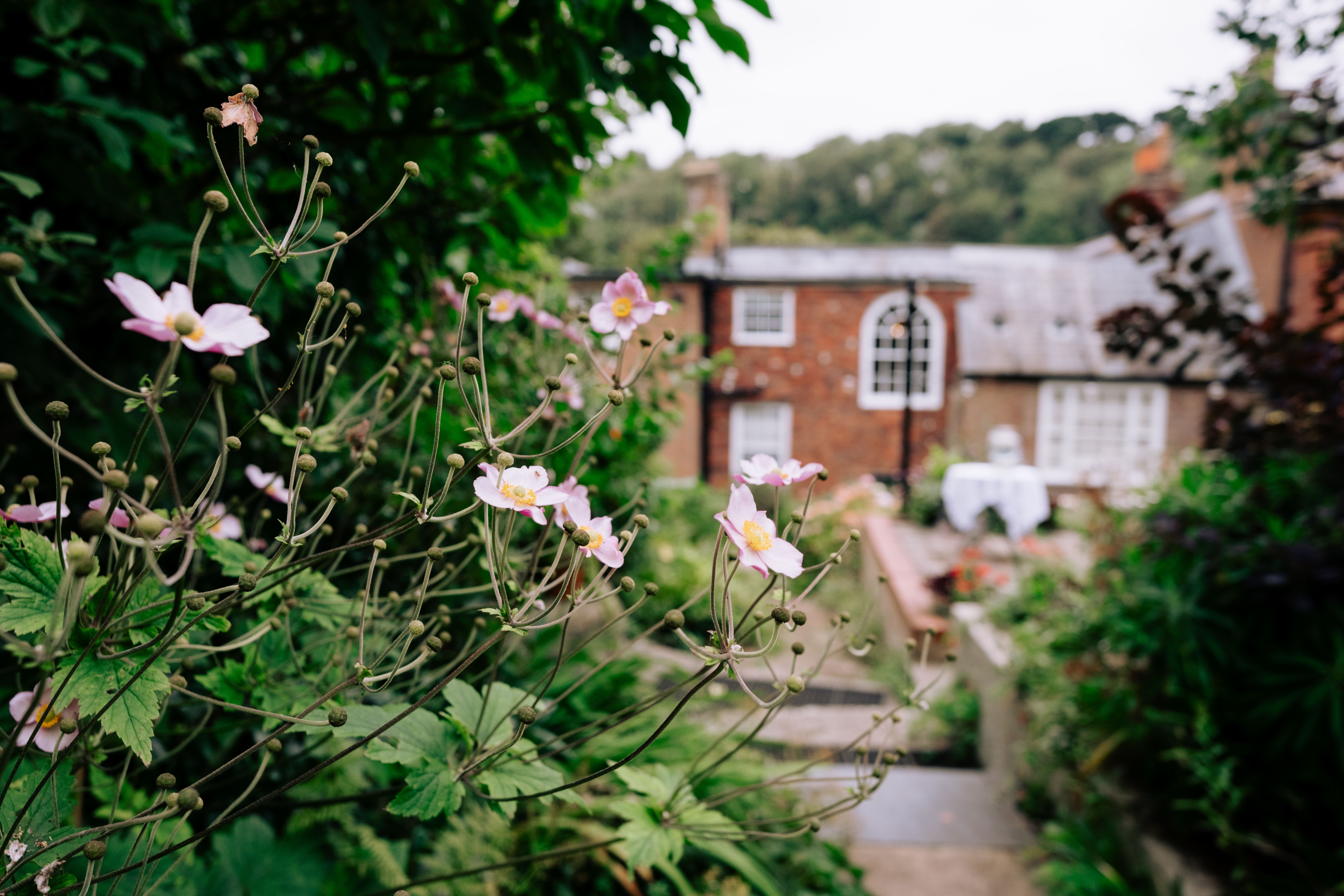 Our Garden Gallery Photo